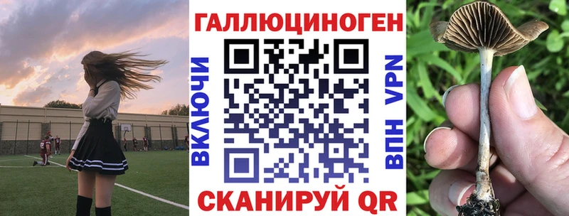 Купить Оханск Галлюциногенные грибы мухоморы