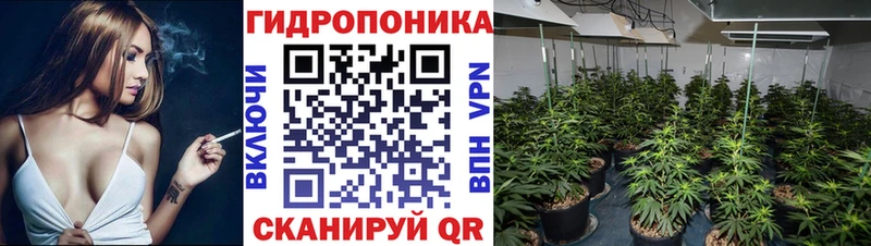 Бошки марихуана LSD WEED  Купить закладки  Оханск 